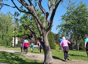 Gym nature marche dans le parc